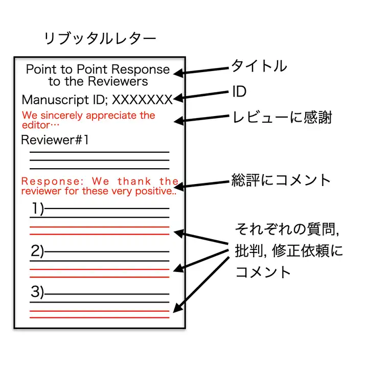 文法的な間違いを指摘された場合の返答